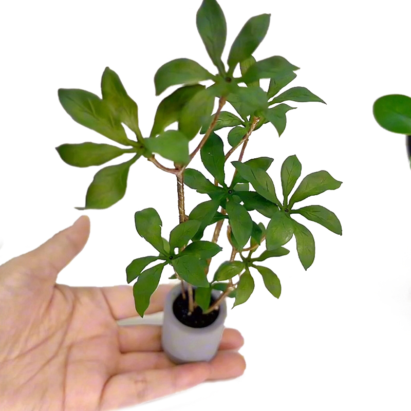 Bonsai Garden For Home - 1:6 miniatur rumah boneka Model tanaman