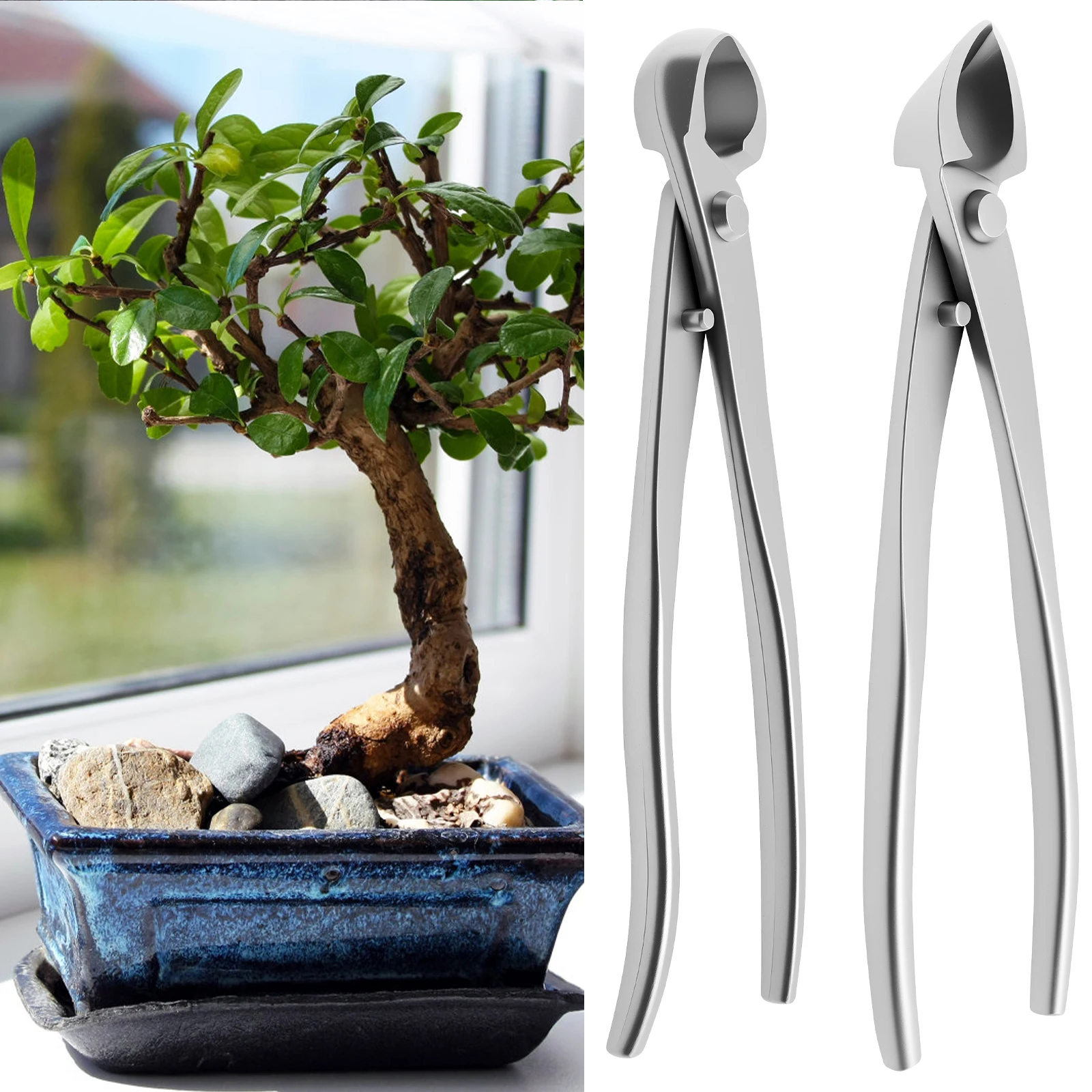 Bonsai Garden Timings - Peralatan Perawatan Bonsai dari Baja Anti