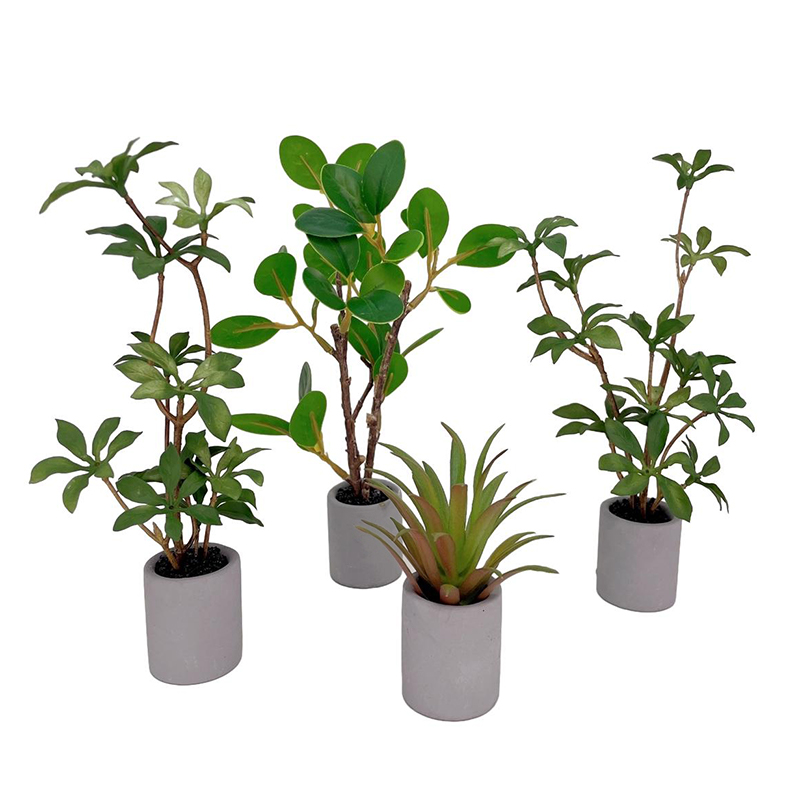 Bonsai Garden For Home - 1:6 miniatur rumah boneka Pot tanaman