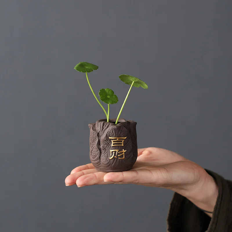 Kreatif Ungu Tanah Liat Teh He - Bonsai Garden Ornaments ulasan dan harga