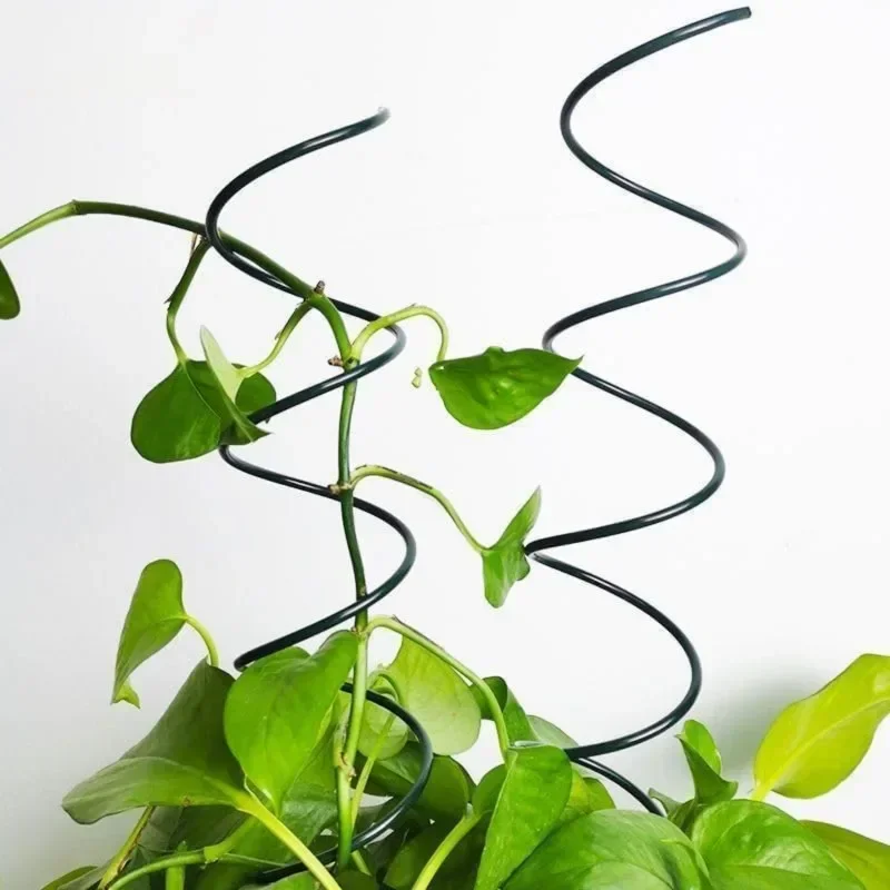 Penyangga Tanaman Merambat, Ra - Bonsai Garden Stand ulasan dan harga