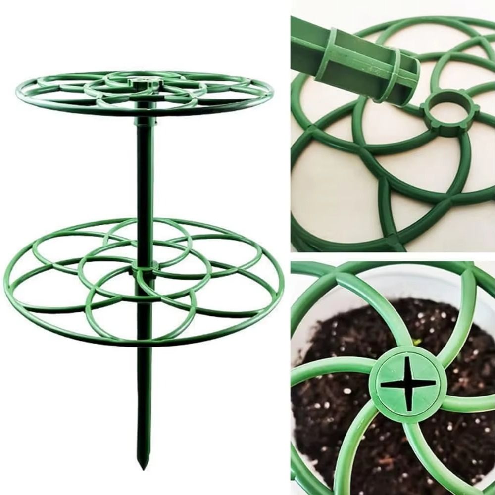 Rak Tanaman Bonsai S/M/L Baru, - Bonsai Garden Stand ulasan dan harga