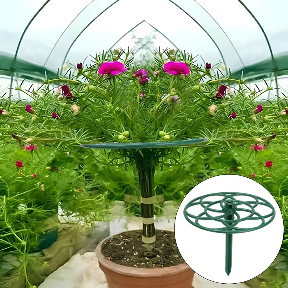 Rak Tanaman Bonsai S/M/L Baru, - Bonsai Garden Stand ulasan dan harga