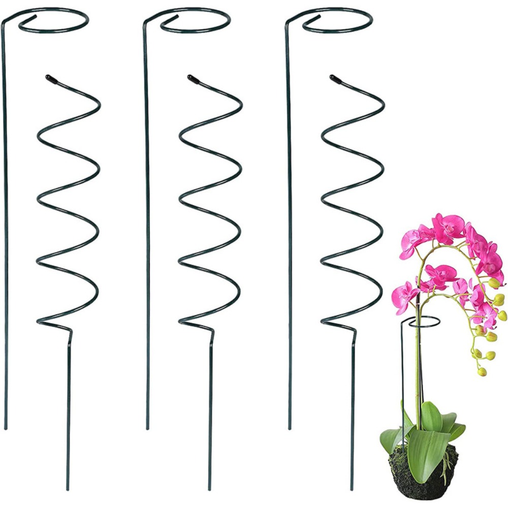 Baru memperbaiki batang memanj - Bonsai Garden Stand ulasan dan harga