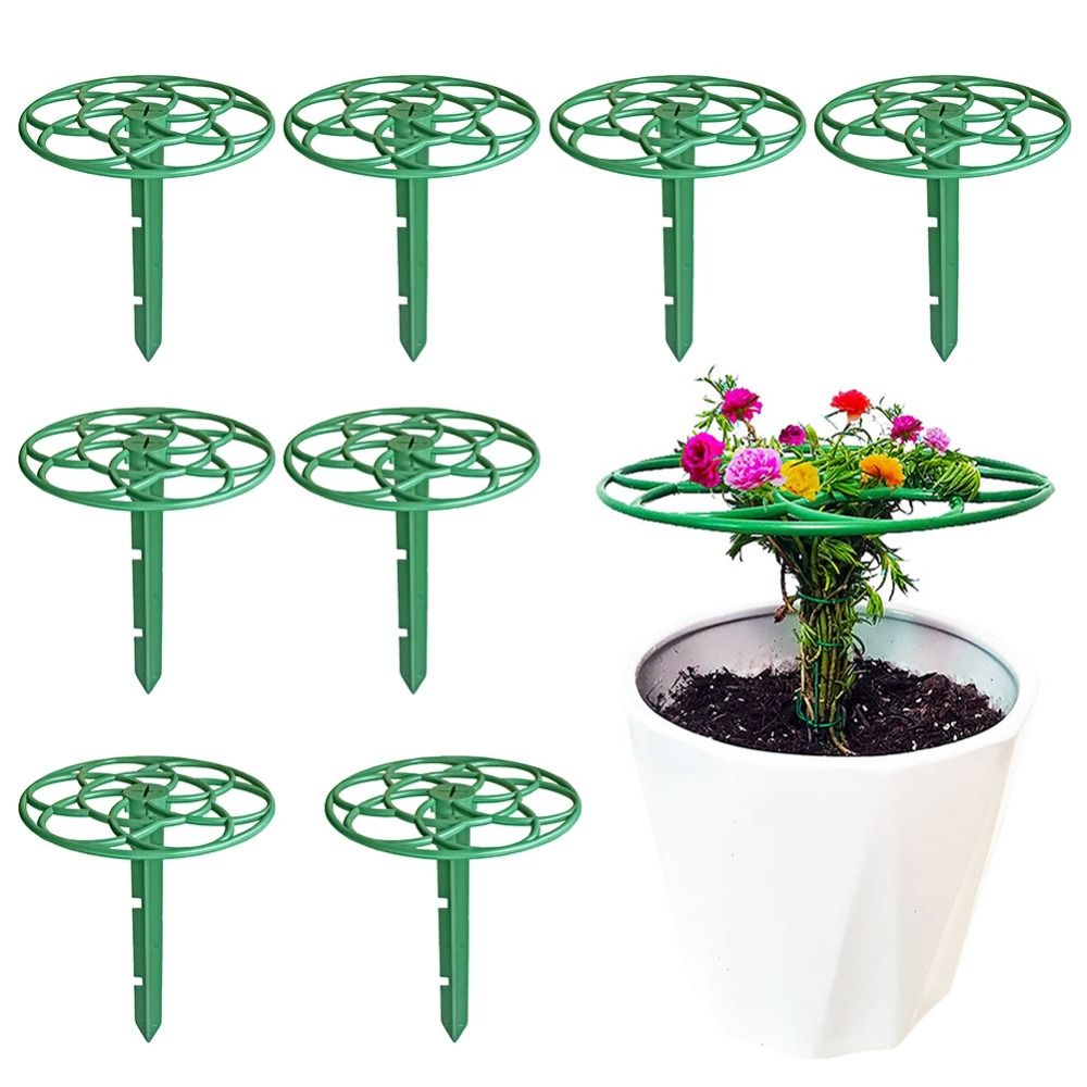S/M/L Bingkai Panjat Bonsai Pl - Bonsai Garden Stand ulasan dan harga