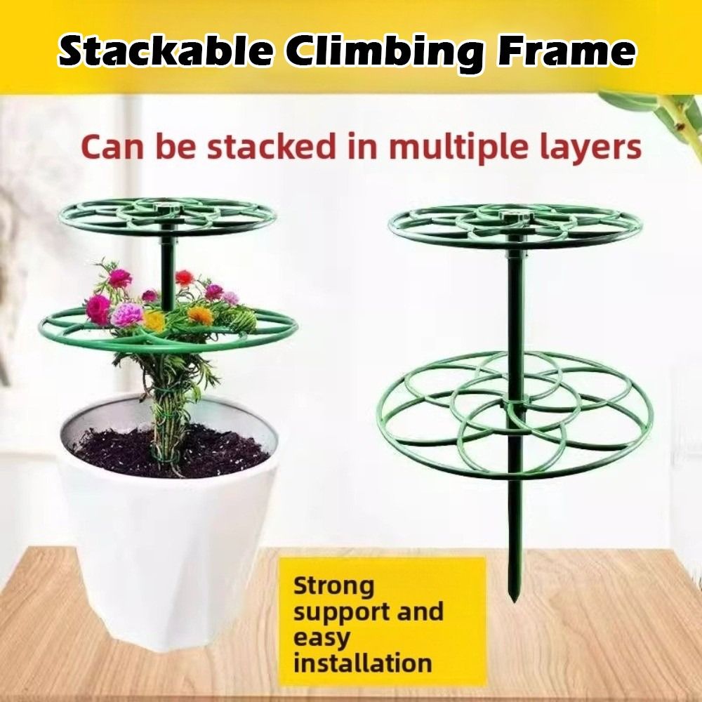 S/M/L Bingkai Panjat Bonsai Pl - Bonsai Garden Stand ulasan dan harga