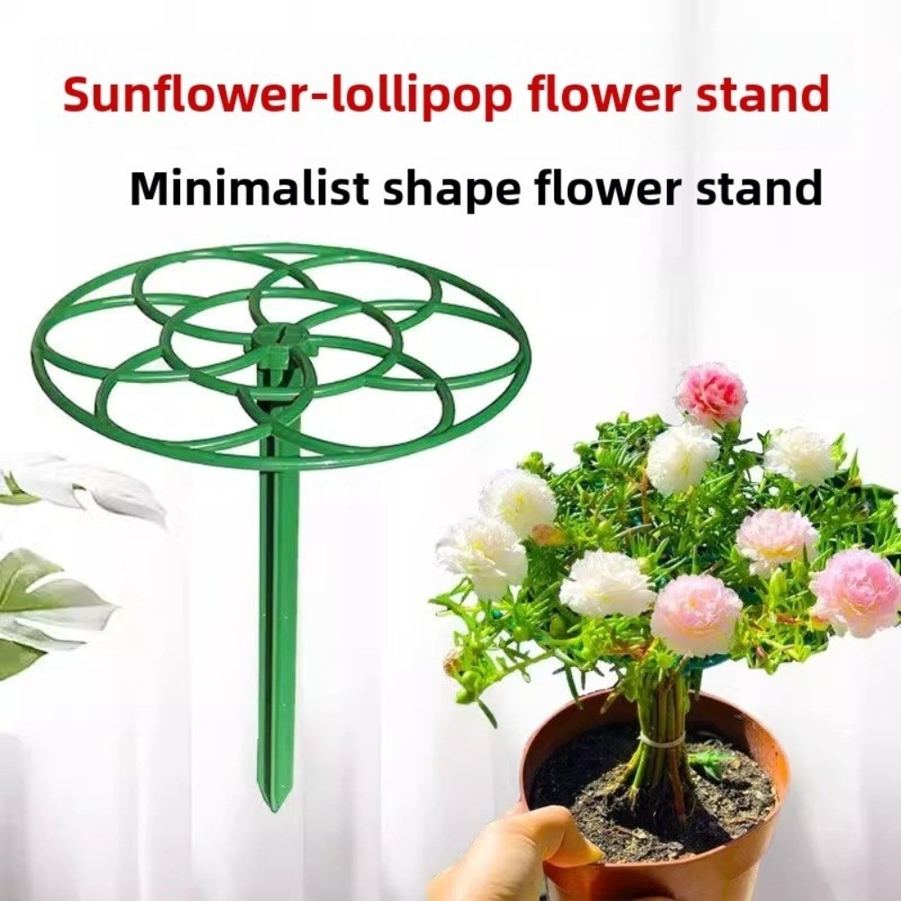 S/M/L Bingkai Panjat Bonsai Pl - Bonsai Garden Stand ulasan dan harga