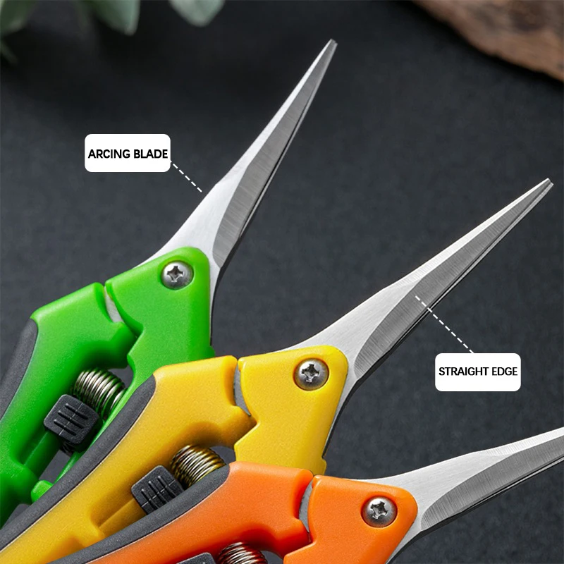 Gunting Pemangkas 6,5 inci unt - Bonsai Garden Timings ulasan dan harga