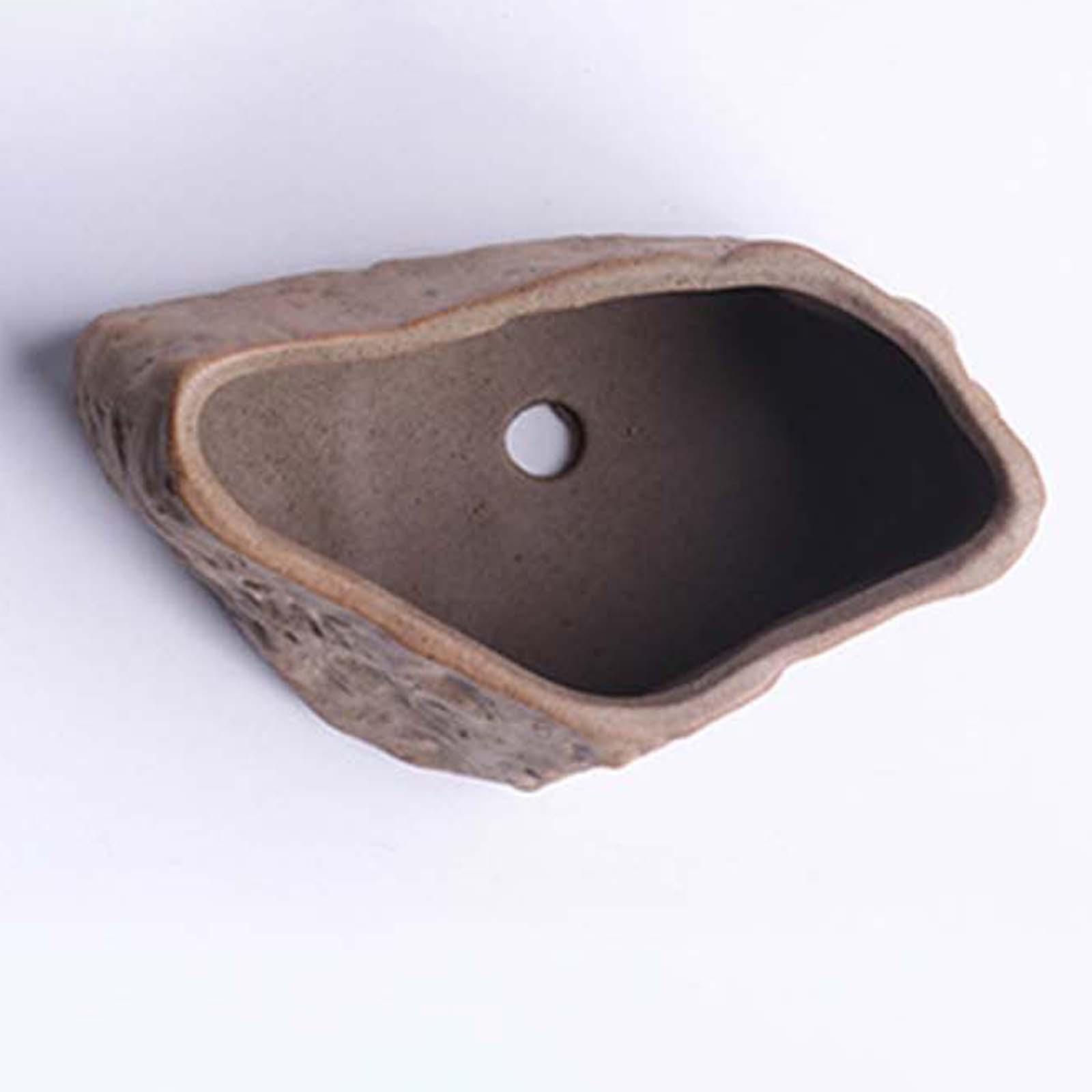 Pot Sukulen Keramik Ringan, Po - Training Pot Ceramic ulasan dan harga
