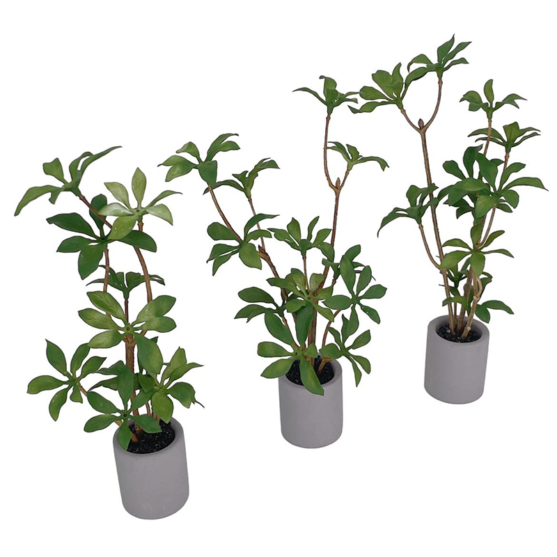 1:6 miniatur rumah boneka Pot  - Bonsai Garden For Home ulasan dan harga