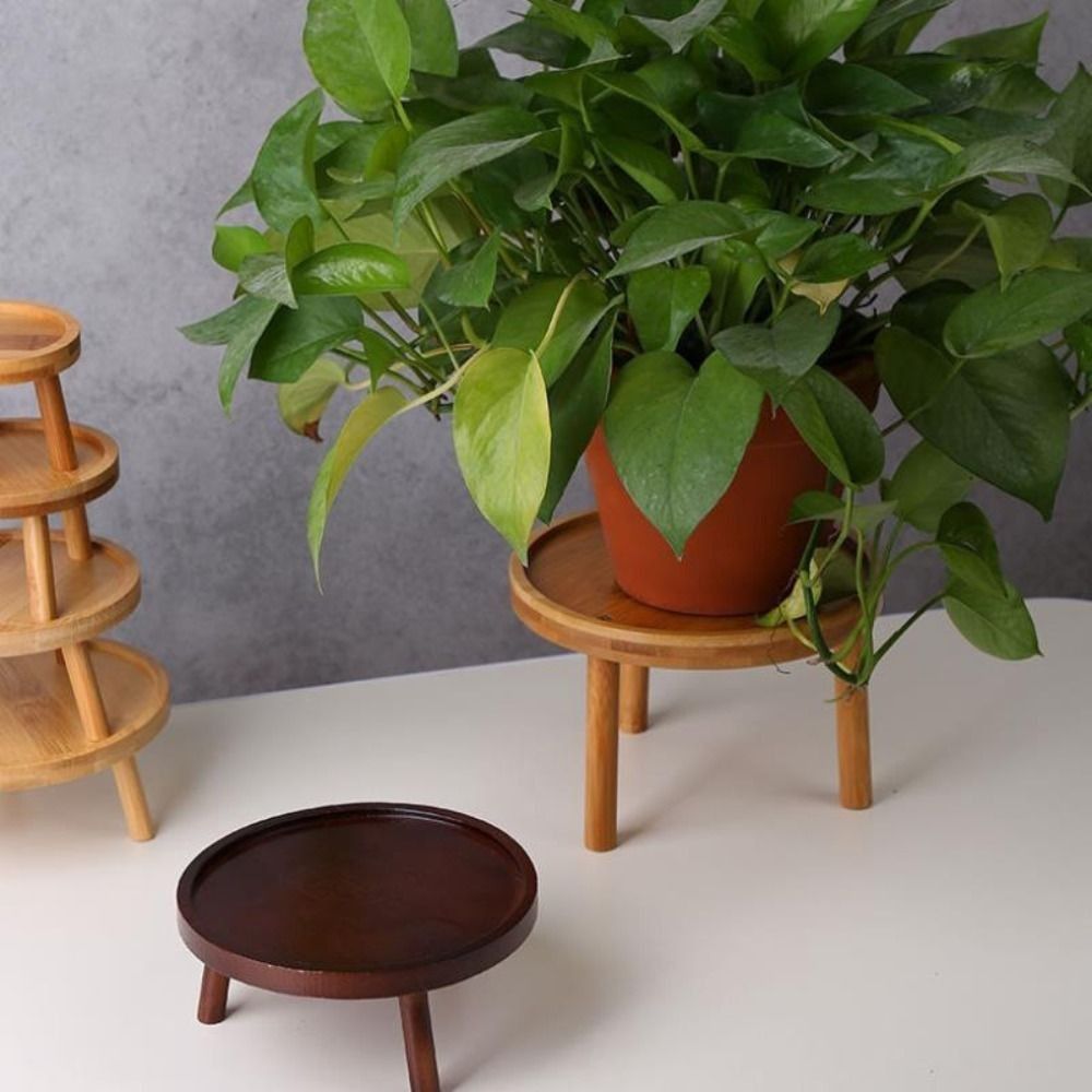 Tempat Vas Bunga Sukulen Kreat - Bonsai Garden Stand ulasan dan harga