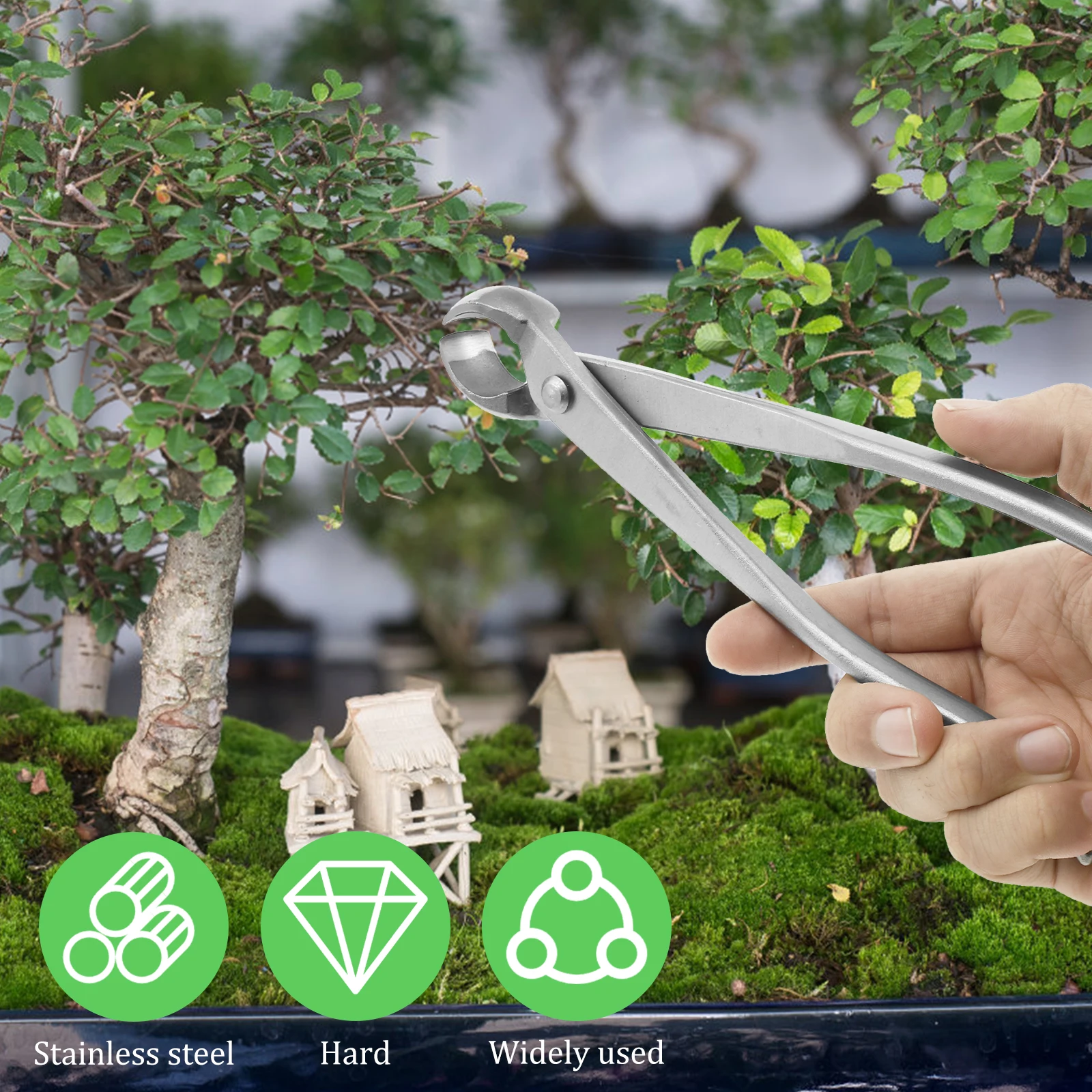 Peralatan Perawatan Bonsai dar - Bonsai Garden Timings ulasan dan harga