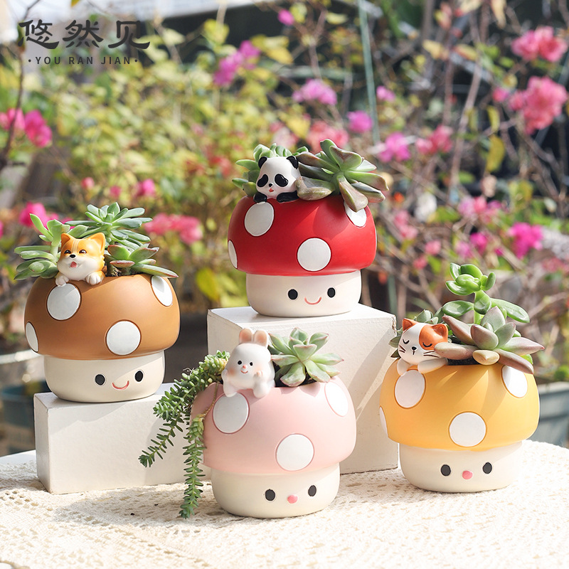 Pot Bunga Sukulen Jamur Lucu B - Bonsai Garden Youtube ulasan dan harga
