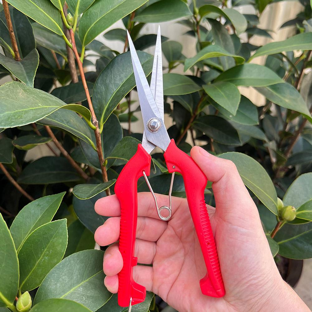 Gunting Pangkas Taman Pro Gard - Bonsai Garden Tools ulasan dan harga