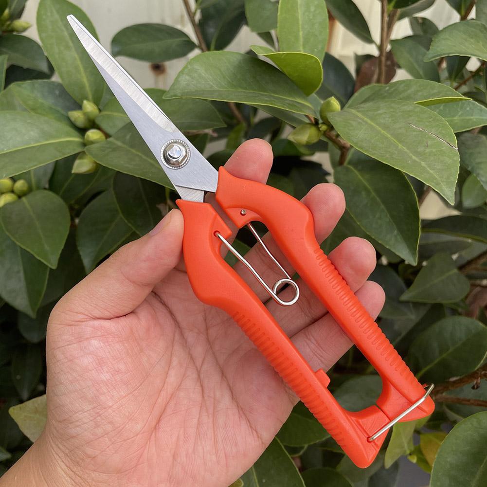 Gunting Pangkas Taman Pro Gard - Bonsai Garden Tools ulasan dan harga