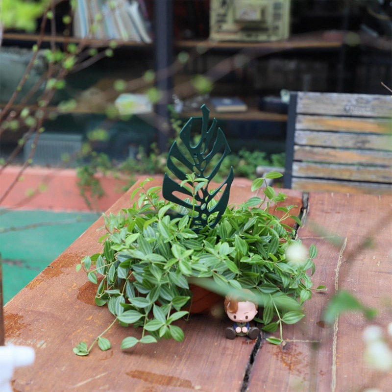 Tanaman Memanjat Dukungan Berd - Bonsai Garden Stand ulasan dan harga