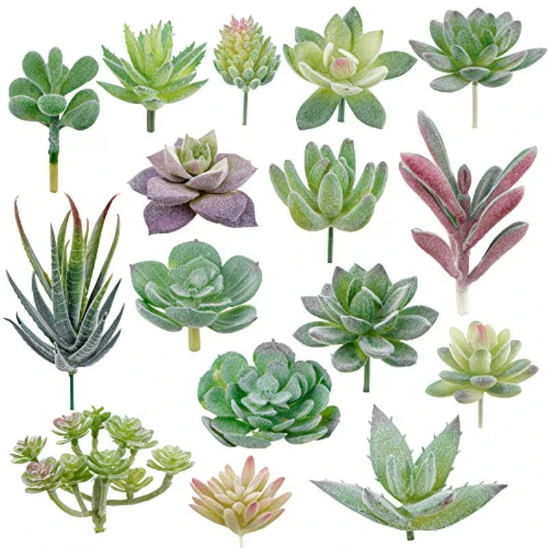 10/20 Buah Tanaman Sukulen PVC - Bonsai Garden For Home ulasan dan harga