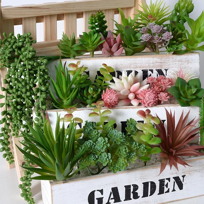 10/20 Buah Tanaman Sukulen PVC - Bonsai Garden For Home ulasan dan harga