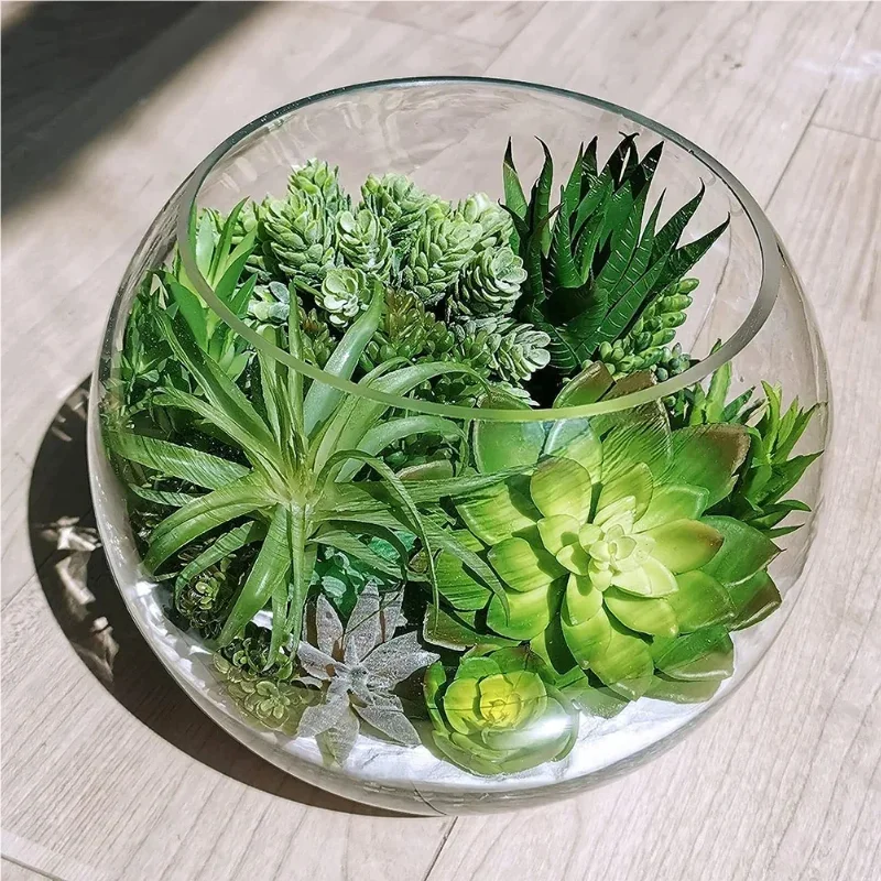 10/20 Buah Tanaman Sukulen PVC - Bonsai Garden For Home ulasan dan harga