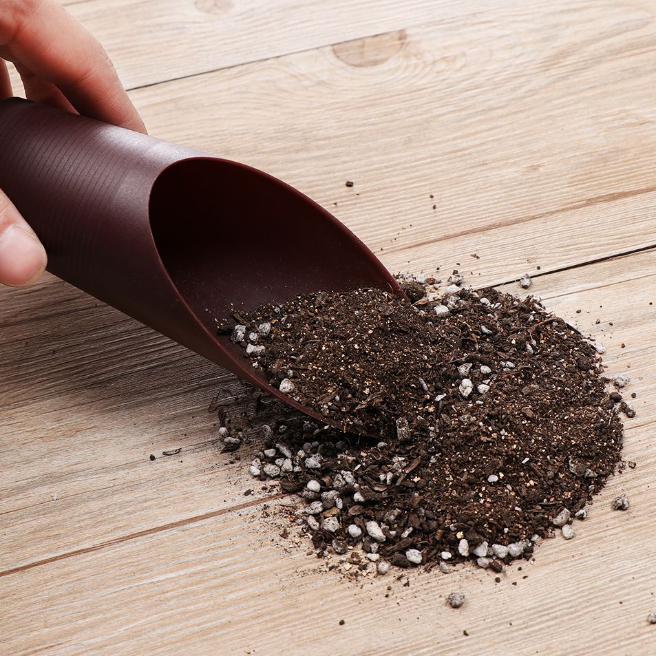 1 Buah Sekop Tanah Plastik Can - Bonsai Garden Tools ulasan dan harga